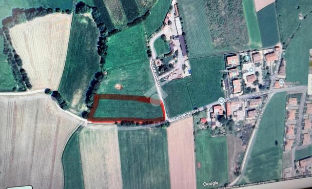 insertion image