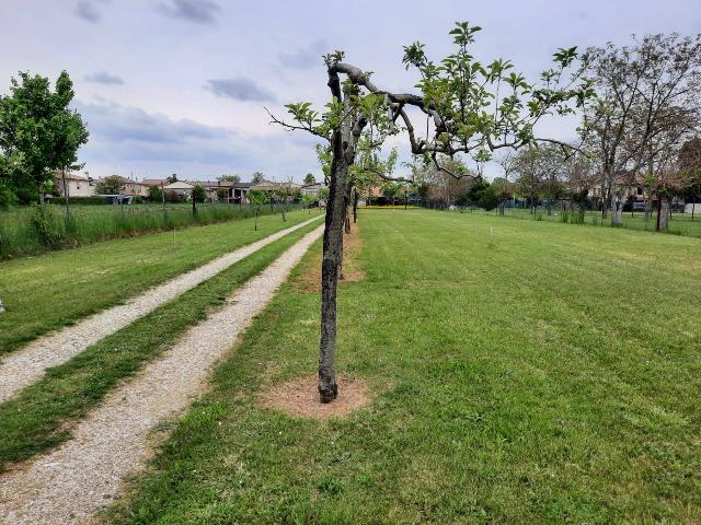 Baugrundstück in Piazza Generale Caviglia 1a, Vedelago - Foto 1