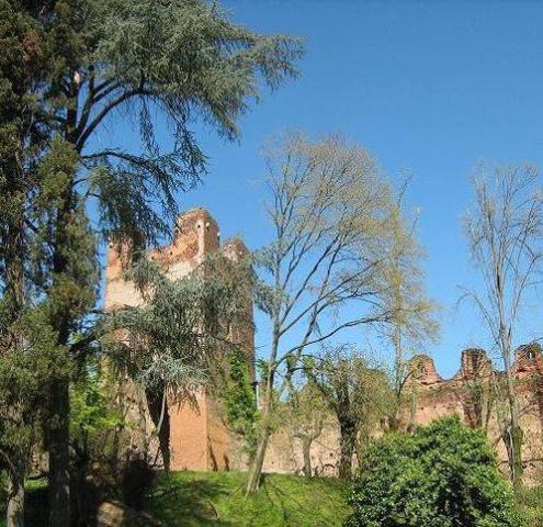 Geschäft in Via Mazzotti 1, Castelfranco Veneto - Foto 1