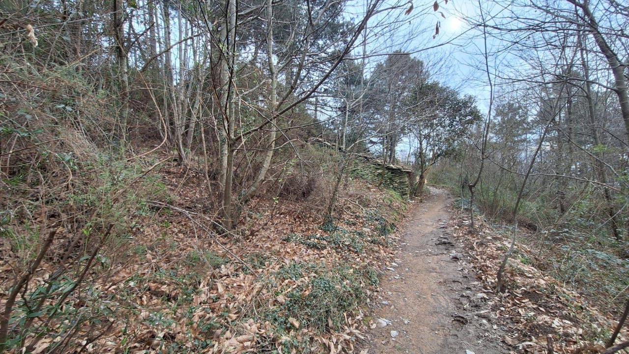 immagine annuncio 3 di 6