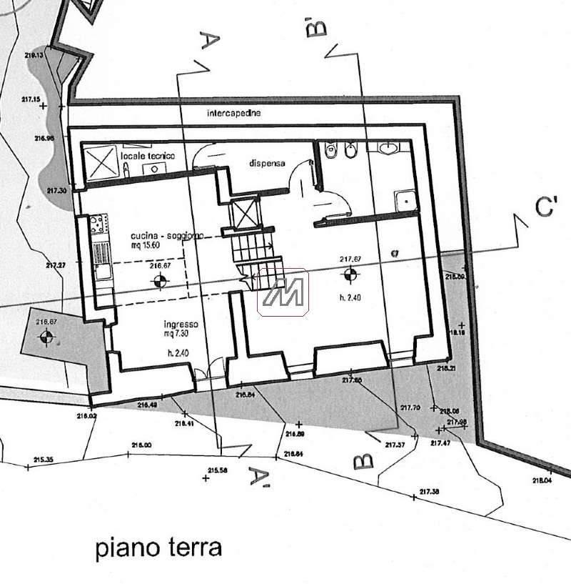 immagine annuncio 5 di 14