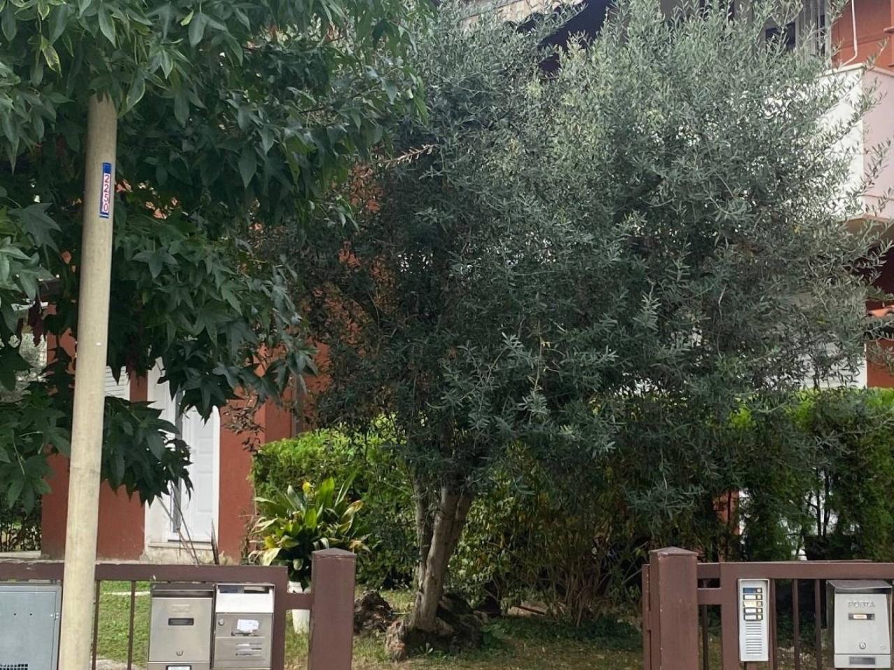immagine annuncio 2 di 13