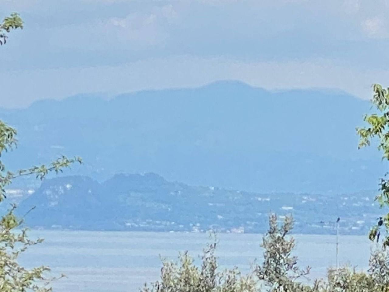 immagine annuncio 2 di 6