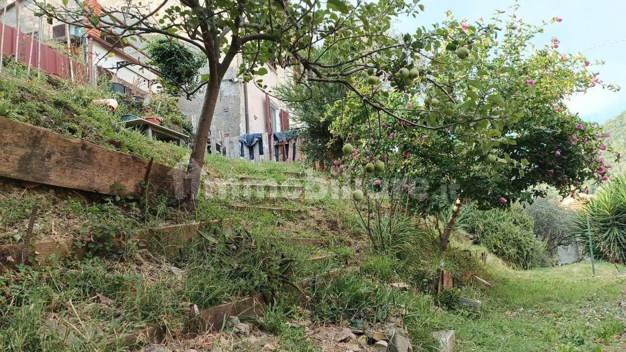 immagine annuncio 4 di 12