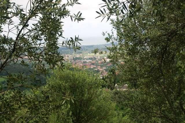 immagine annuncio 4 di 6