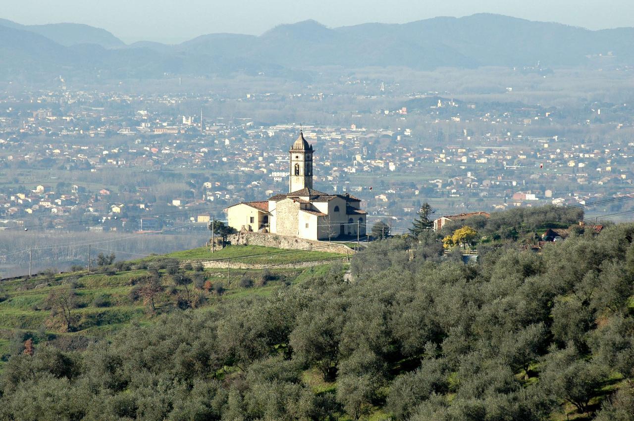 immagine annuncio 2 di 6