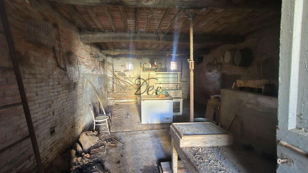 immagine annuncio 3 di 6