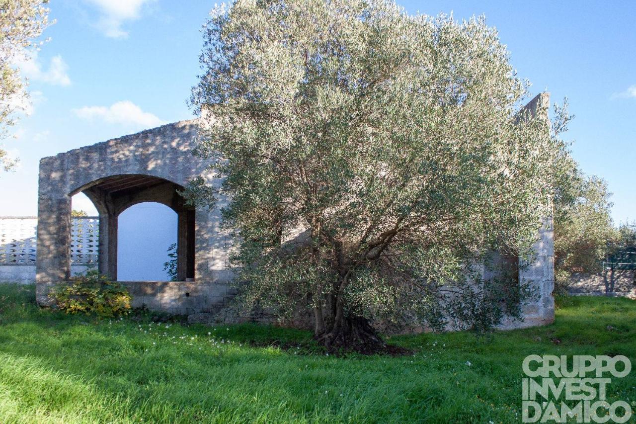 immagine annuncio 2 di 8