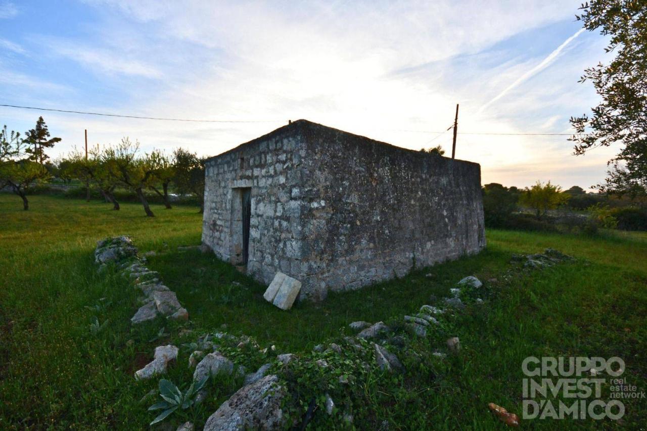 immagine annuncio 1 di 11