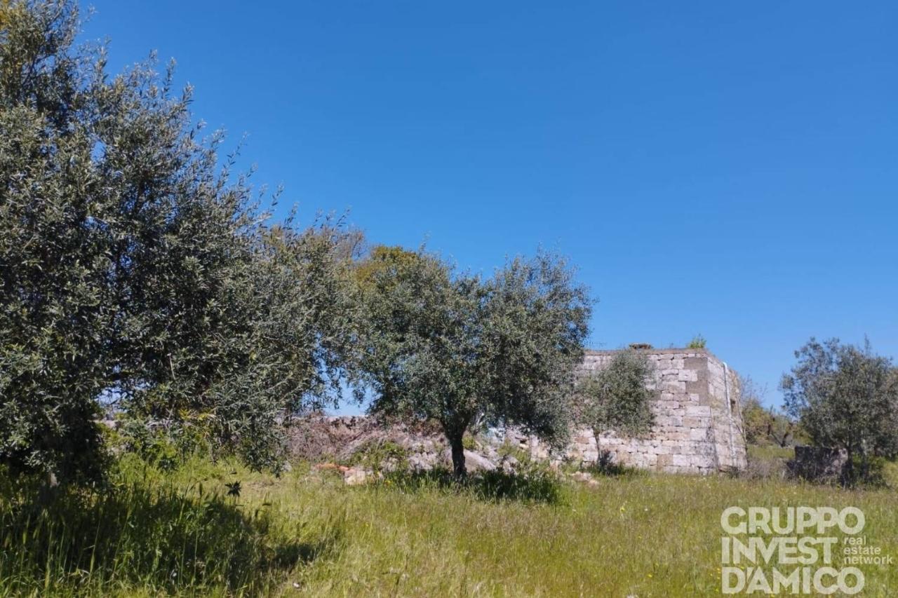 immagine annuncio 5 di 9
