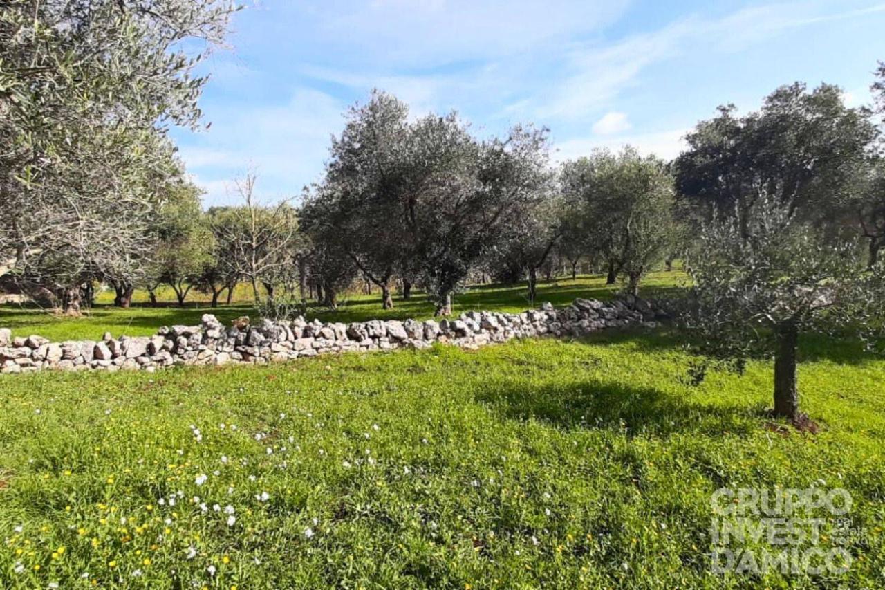 immagine annuncio 8 di 12