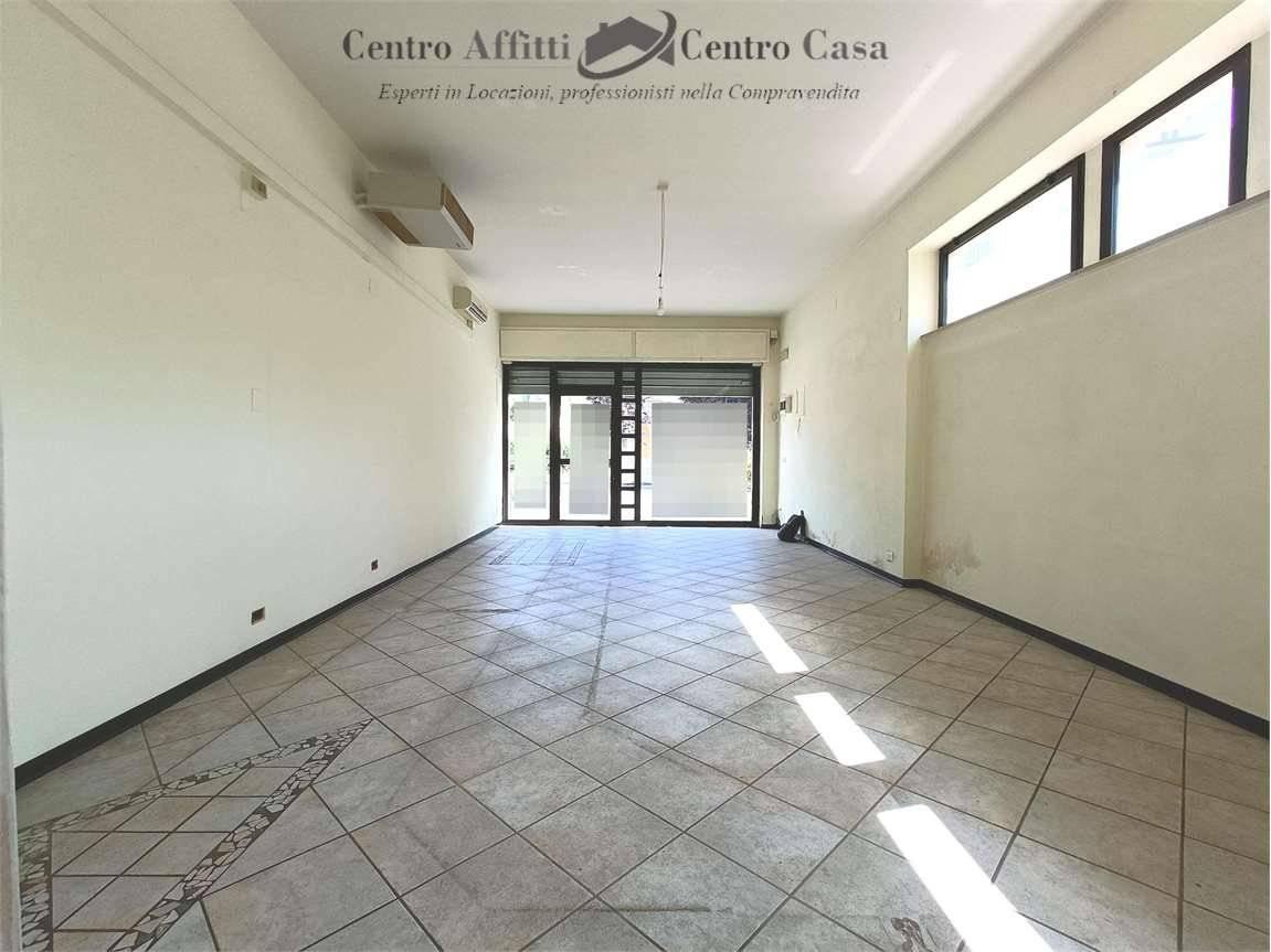Negozio in Viale Giacomo Puccini, 183, Lucca, {3} - Foto 1