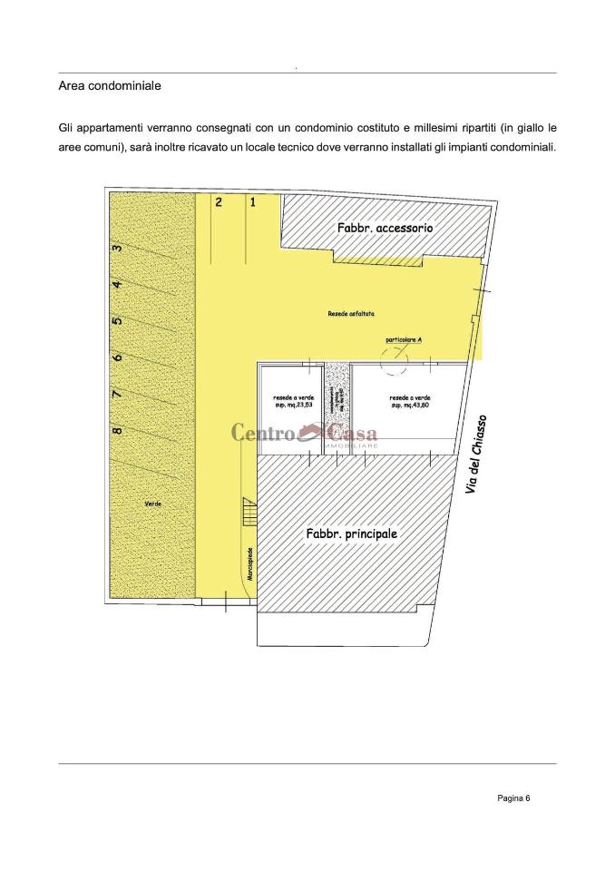 immagine annuncio 6 di 15