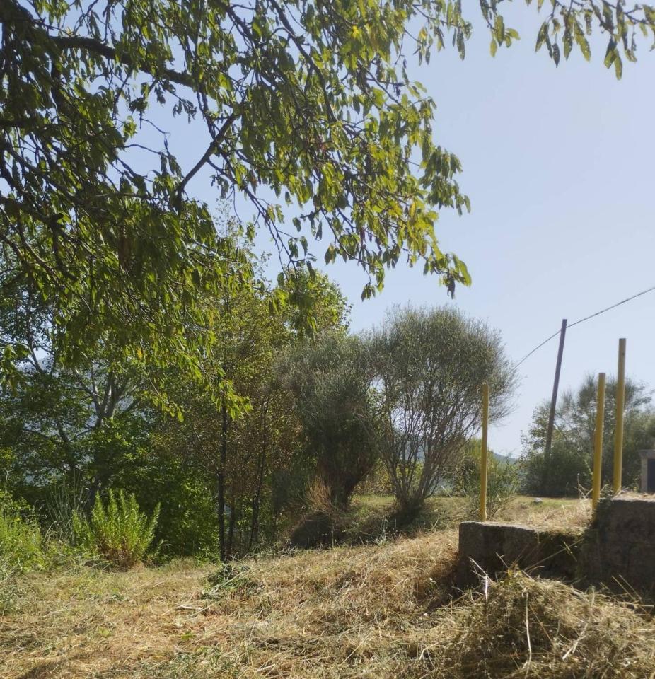 Trilocale in vendita, Contrada Sant'Alfonso, Lauria - Planimetria 1