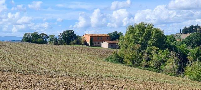 Country house or cottage, Asciano - Photo 1