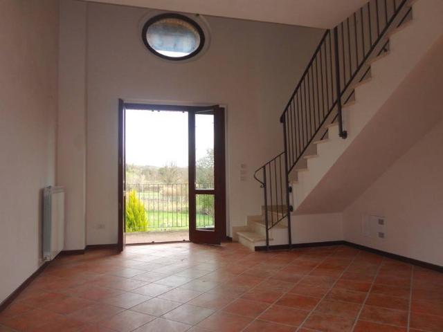 Vierzimmerwohnung, Montalcino - Foto 1