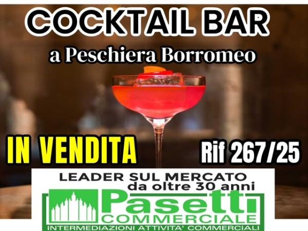 Ristorante in , Peschiera Borromeo, {3} - Foto 1