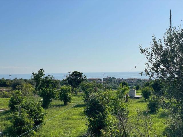 Terreno agricolo, Acireale - Foto 1