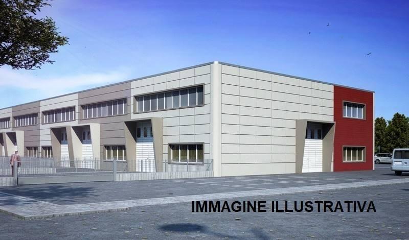 immagine annuncio 1 di 10