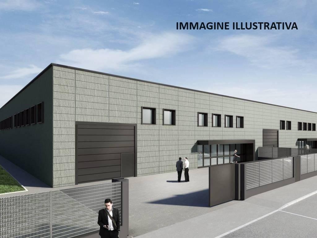 immagine annuncio 4 di 10