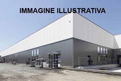 immagine annuncio 3 di 12