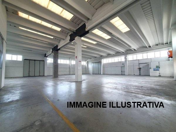 immagine annuncio 5 di 12