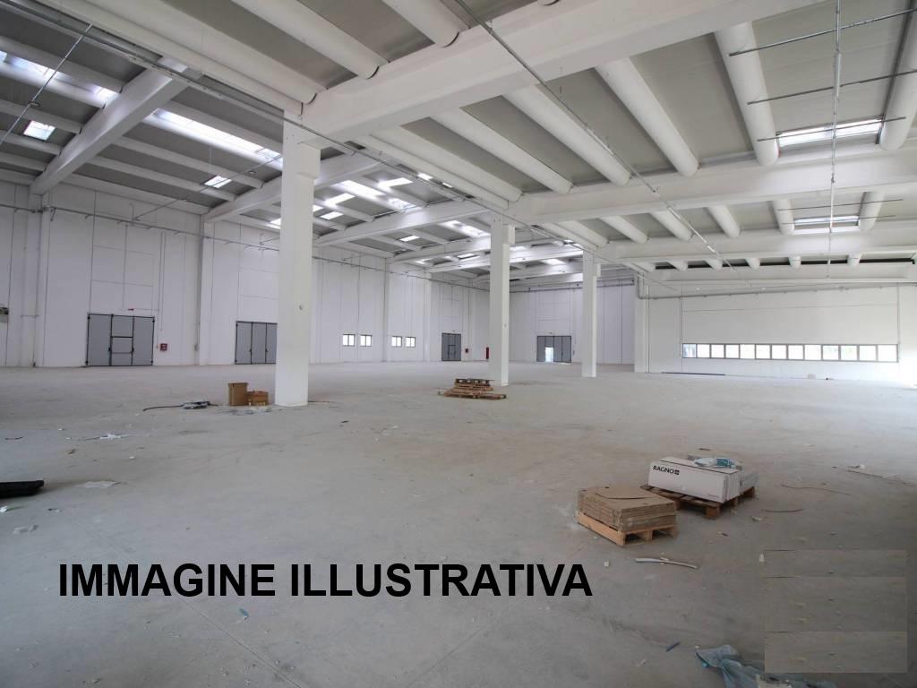 immagine annuncio 9 di 12