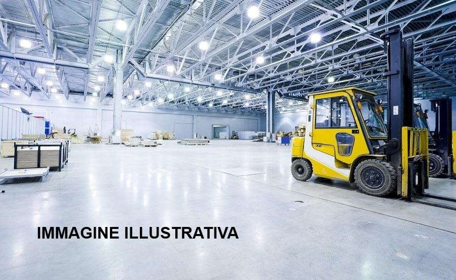 immagine annuncio 7 di 12
