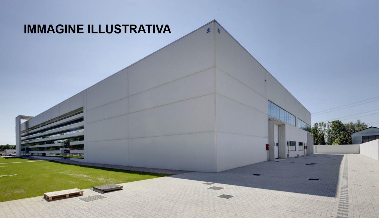 immagine annuncio 10 di 12