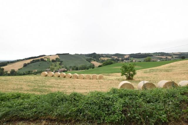 Landhaus in Strada Provinciale Pedemontana, Felino - Foto 1