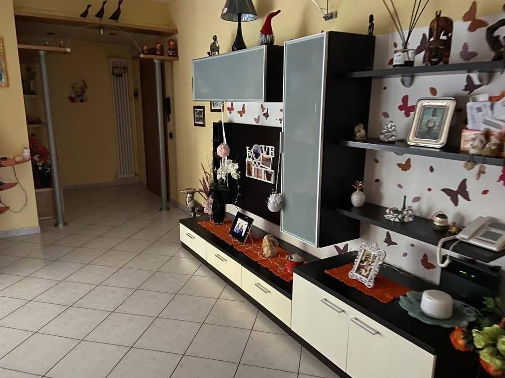 immagine annuncio 3 di 14