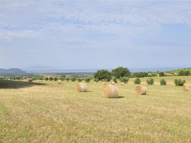 Country house or cottage, Campiglia Marittima - Photo 1