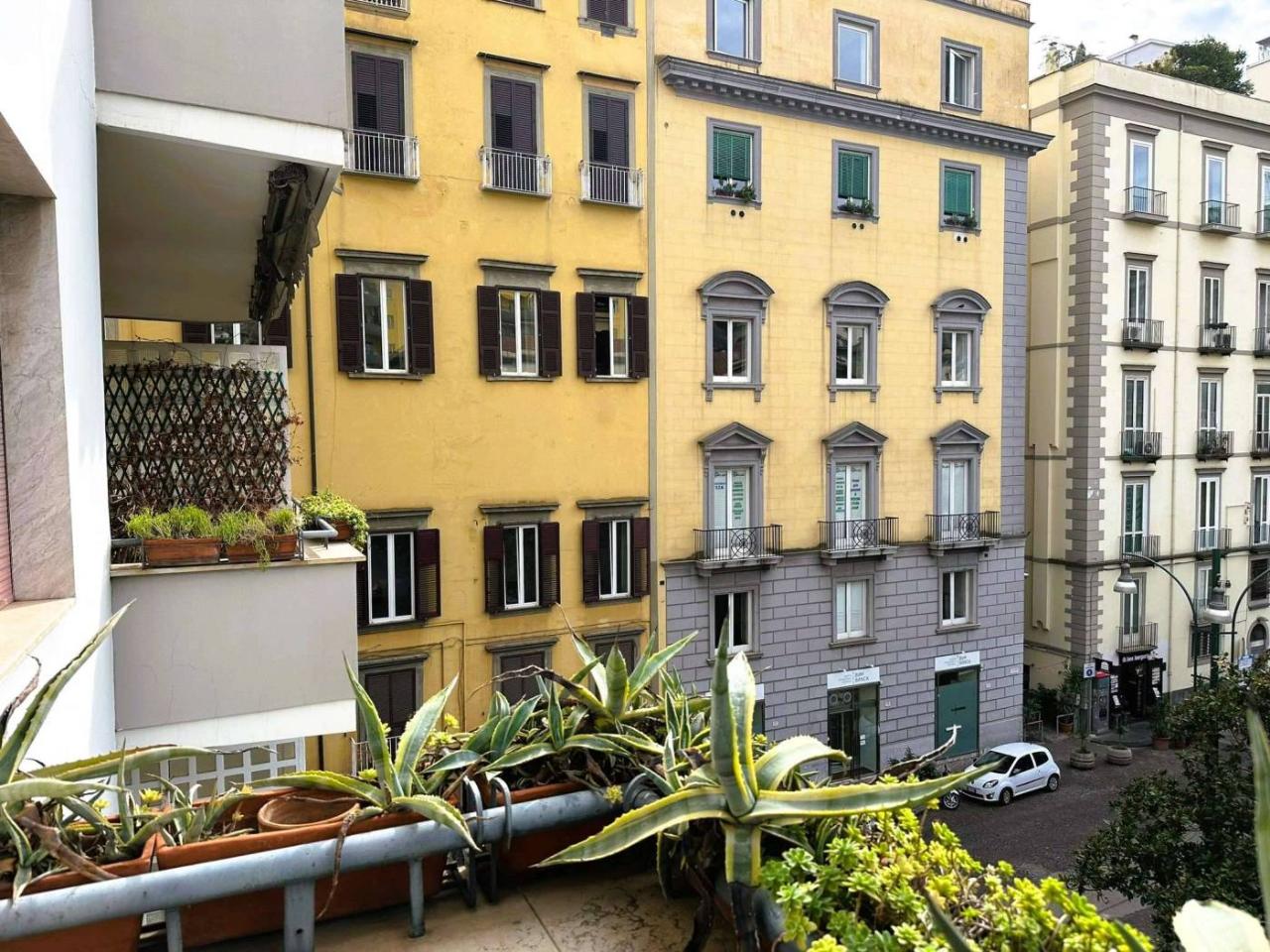 immagine annuncio 1 di 9