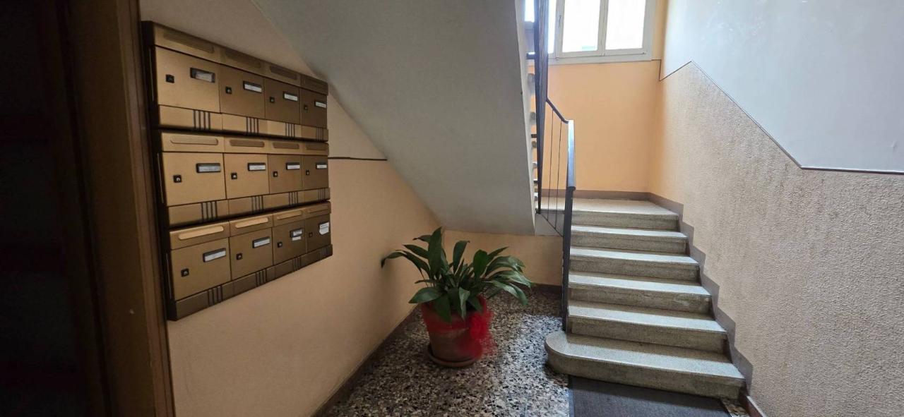 immagine annuncio 2 di 7
