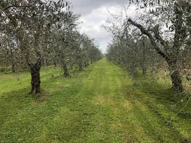 Terreno agricolo in {3}, - Foto 1