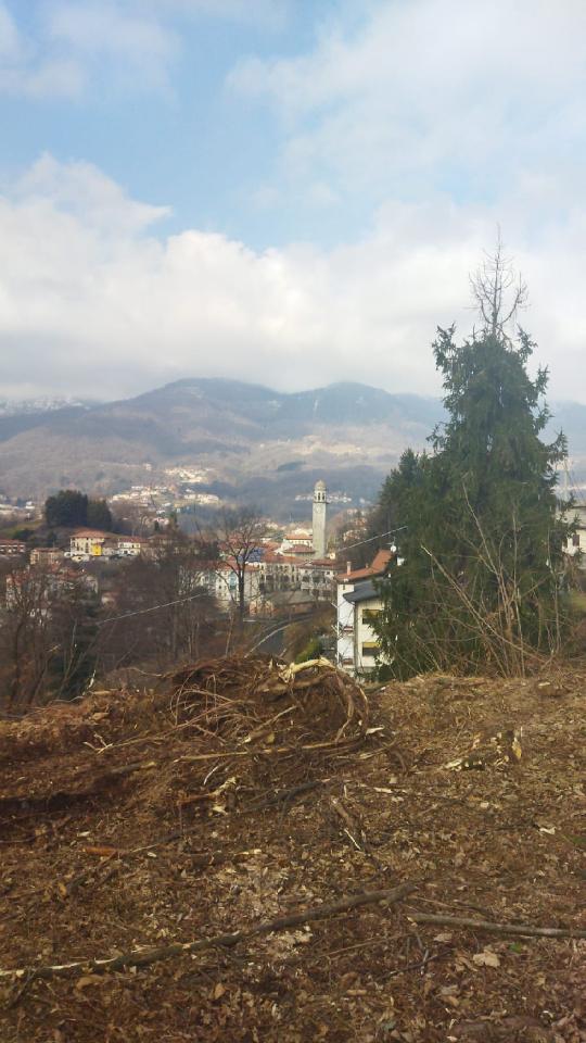 immagine annuncio 8 di 11