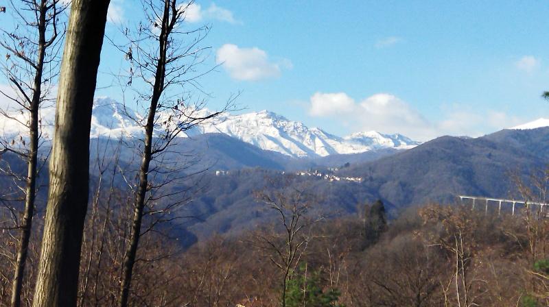 immagine annuncio 7 di 11
