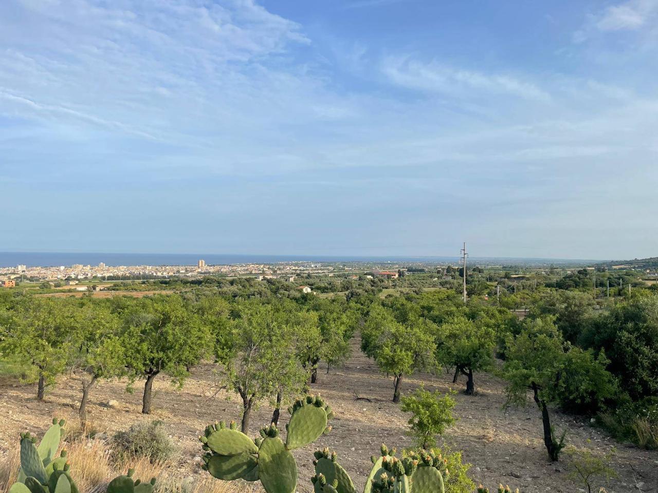 immagine annuncio 4 di 14