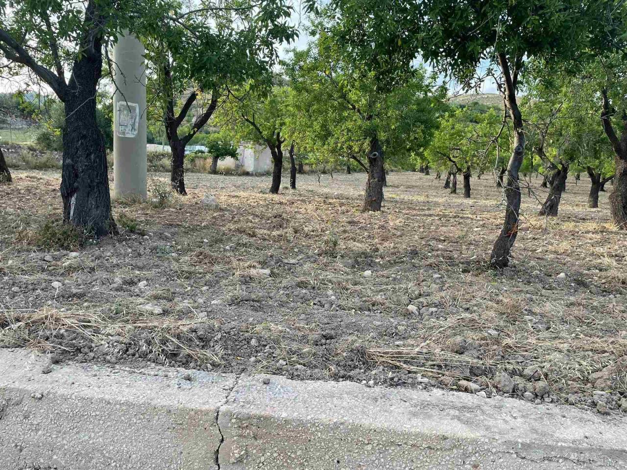 immagine annuncio 8 di 14