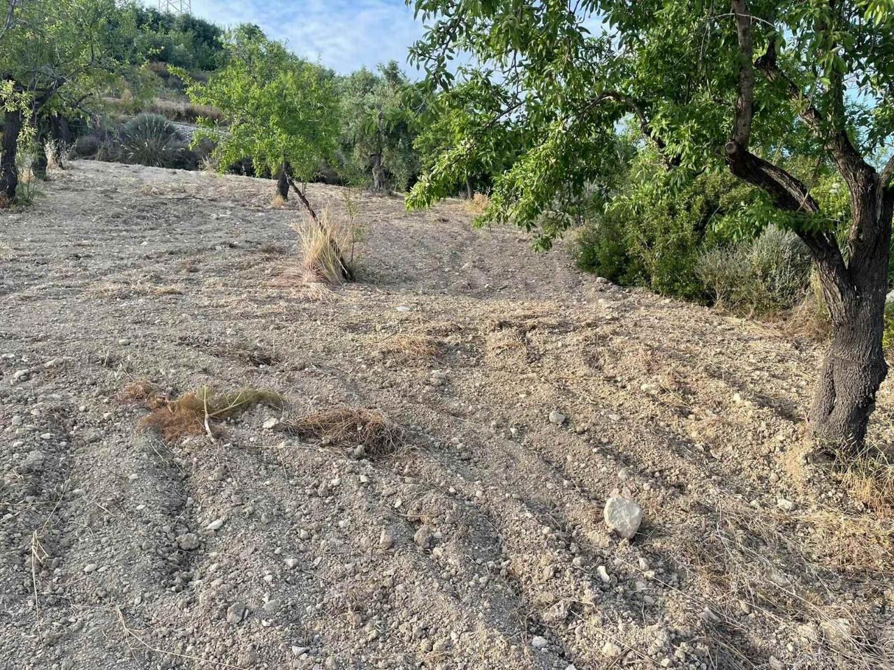 immagine annuncio 6 di 14