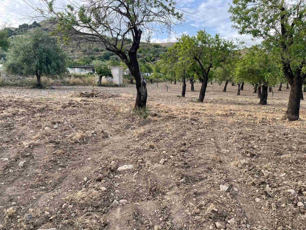 immagine annuncio 9 di 14