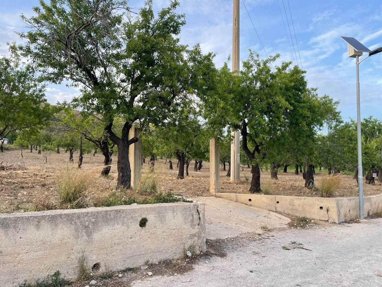 immagine annuncio 10 di 14