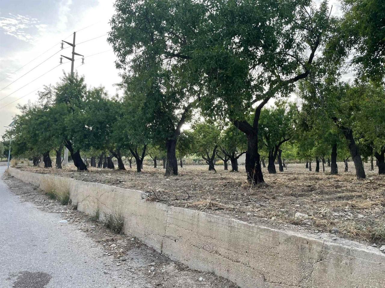 immagine annuncio 11 di 14