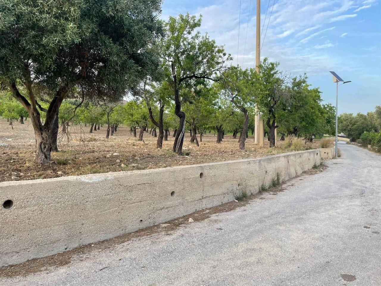 immagine annuncio 12 di 14