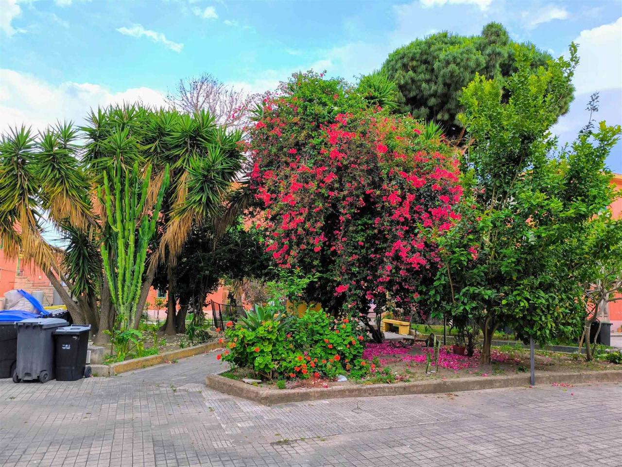 immagine annuncio 9 di 12