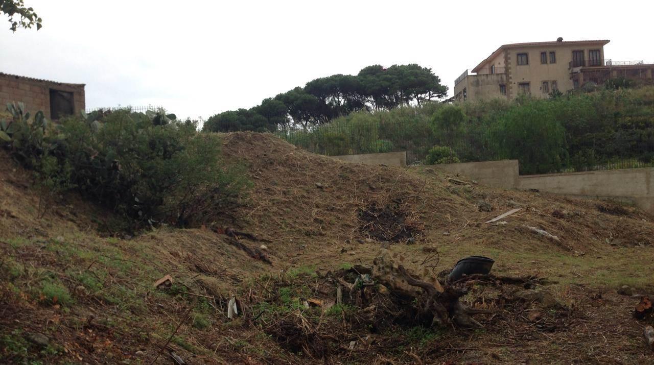 immagine annuncio 3 di 14
