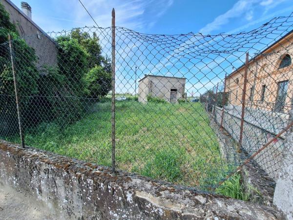 Negozio in Viale 4 Novembre, Caselle Landi, {3} - Foto 2