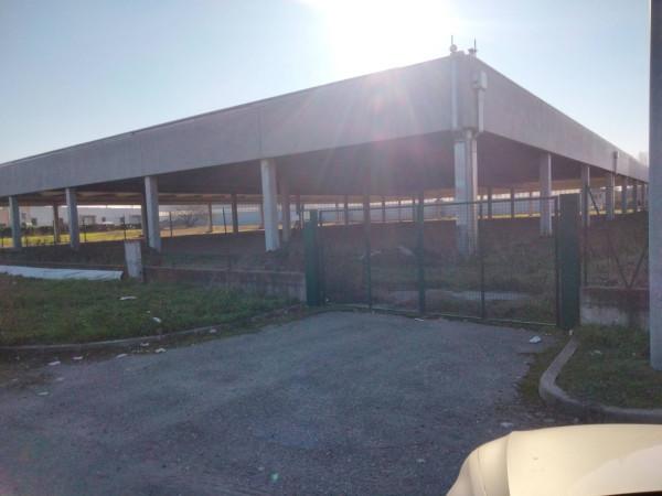 Capannone in Via Sandro Pertini, Codogno, {3} - Foto 2