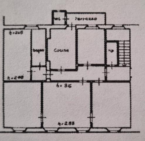 insertion image