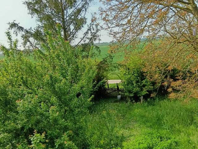 Country house or cottage in Carrara Turchia 6, Lugo - Photo 1